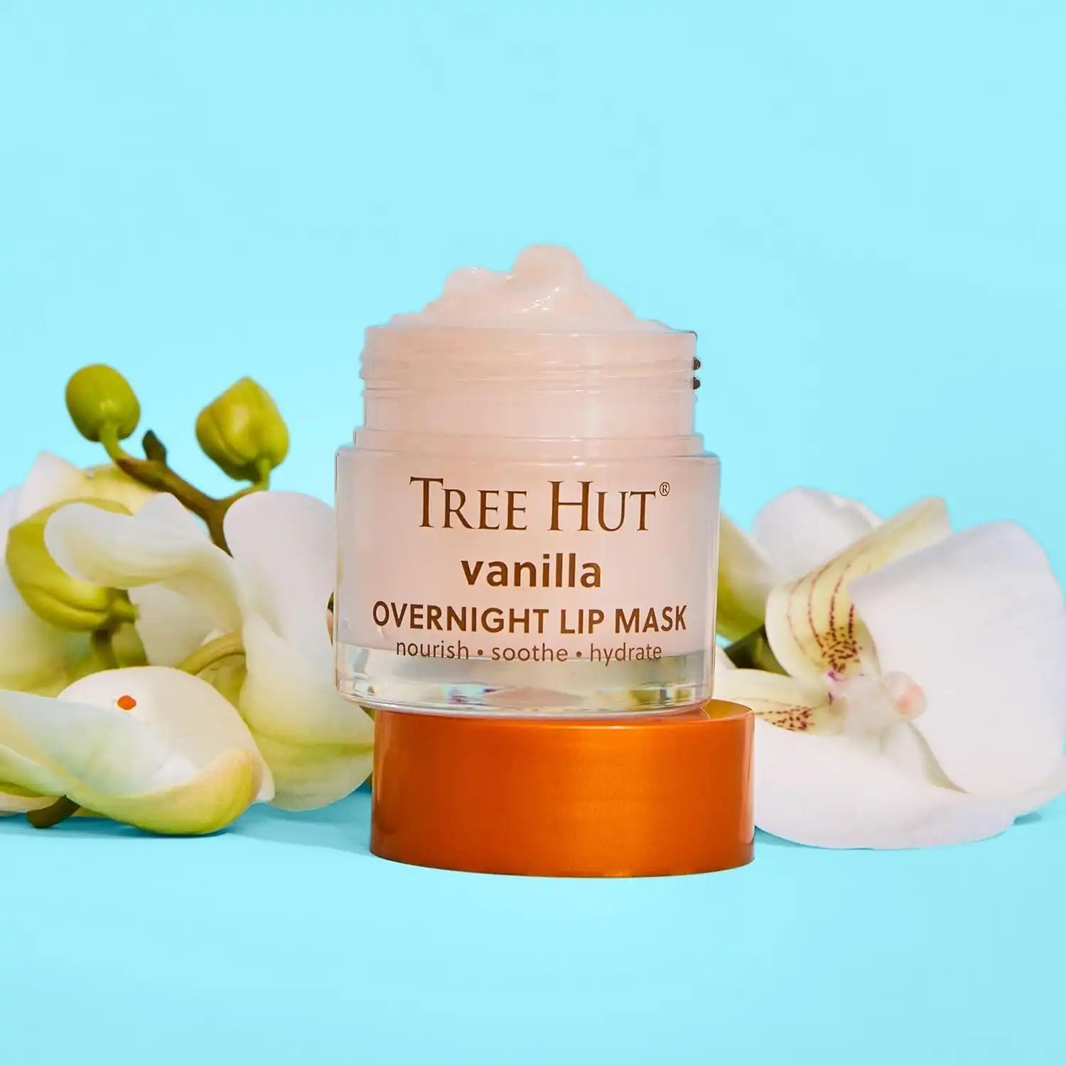 treehutbodys.com