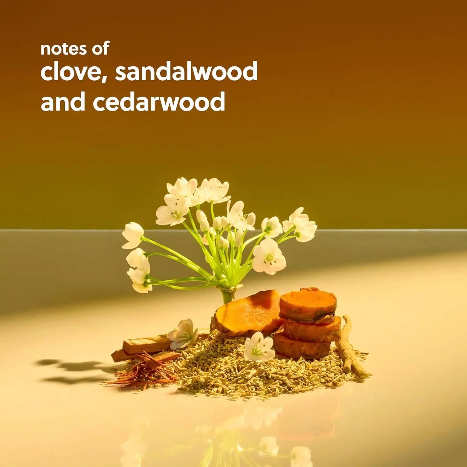treehutbodys.com