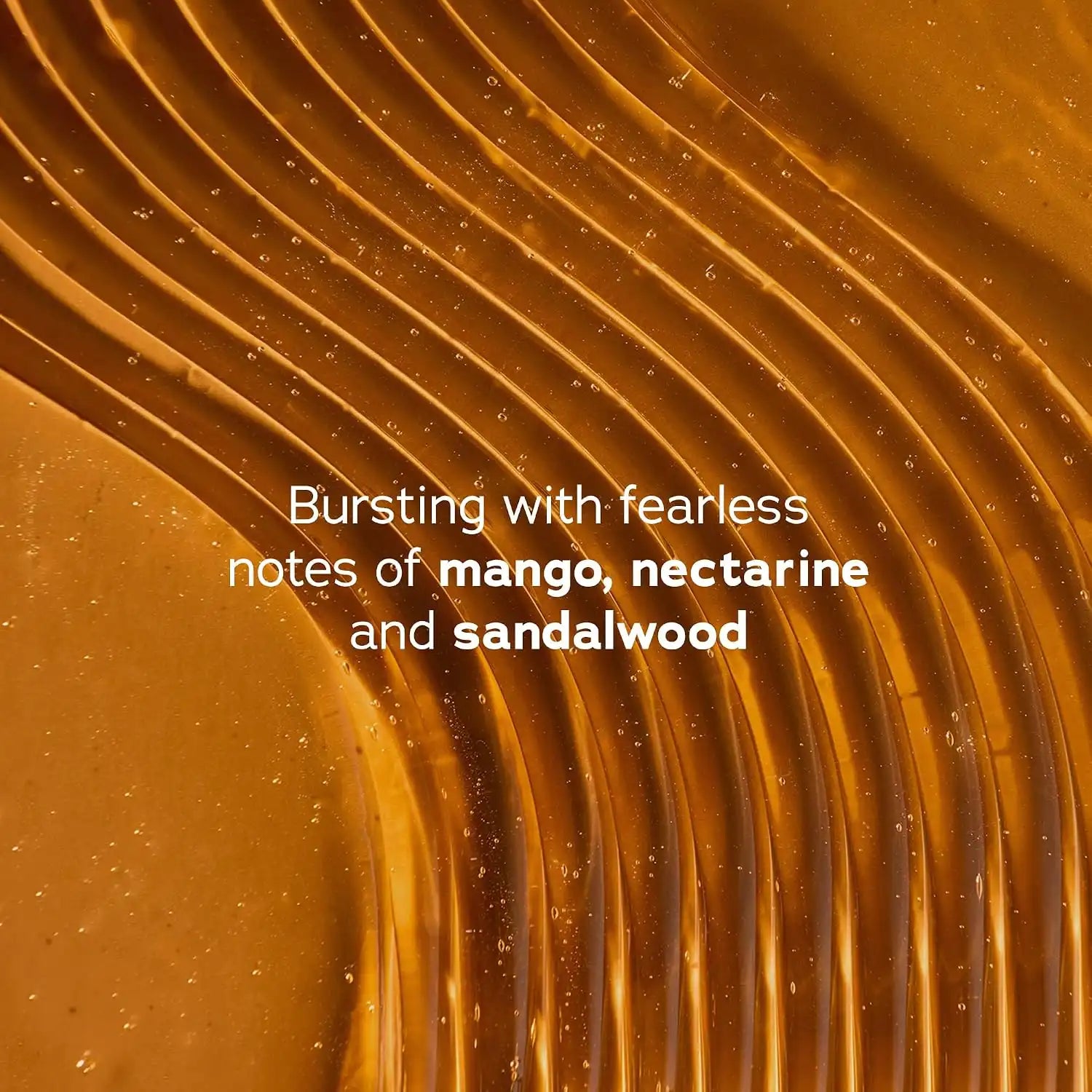 treehutbodys.com